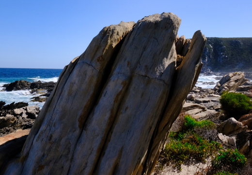 Hakea Trail Fitzgerald River NP 2025
