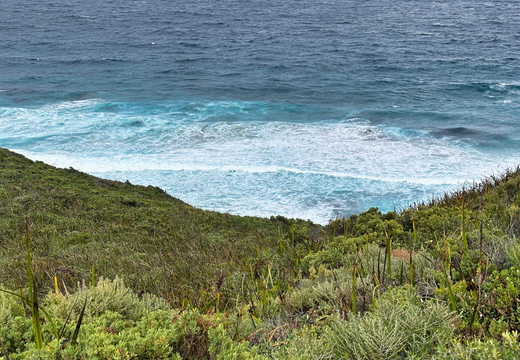 Munda Biddi Trail WA AU