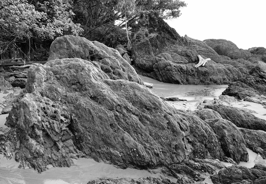Queensland AU Black and White 2024