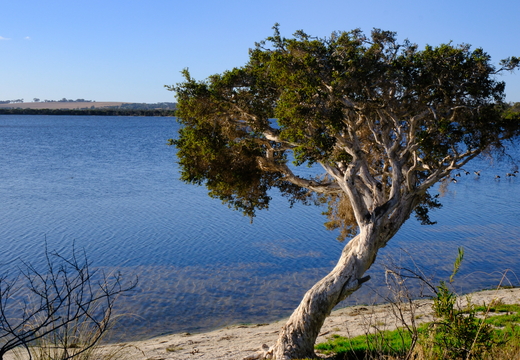 Woody Lake Esperance WA AU 2026