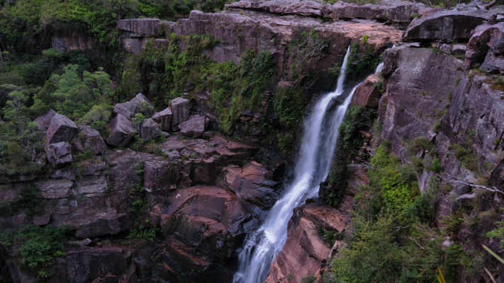 Budderoo National Park NSW AU Photos 1129