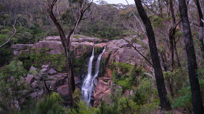 Budderoo National Park NSW AU Photos 1199