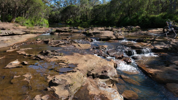 Budderoo National Park NSW AU Photos 1285