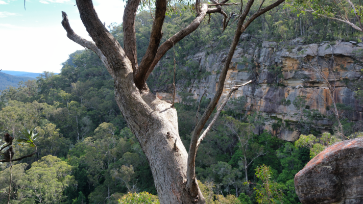 Morton National Park NSW AU Photos 1139