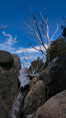 Mount Buffalo National Park NSW AU Photos 1388