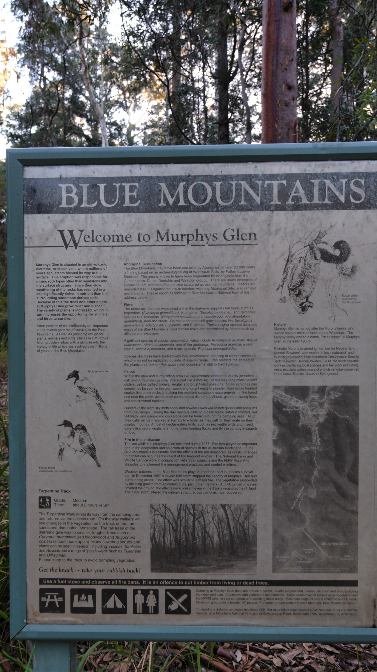Blue_Mountains_NSW_AU_Photos_1182.png