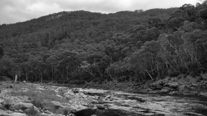 Kosciuszko National Park NSW AU Photos 1054