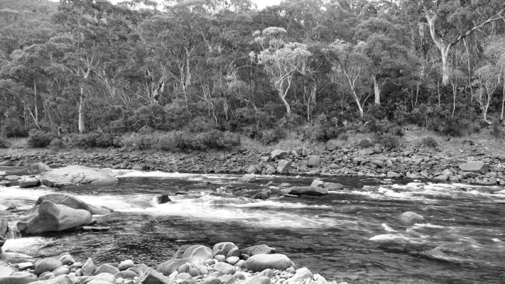 Kosciuszko National Park NSW AU Photos 1087