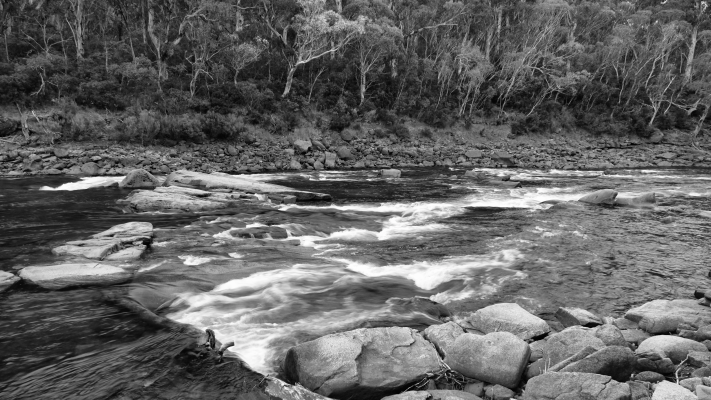 Kosciuszko National Park NSW AU Photos 1094
