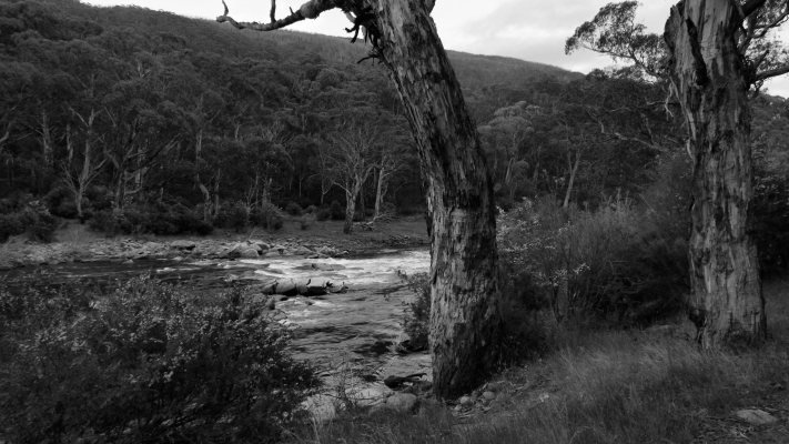 Kosciuszko National Park NSW AU Photos 1110