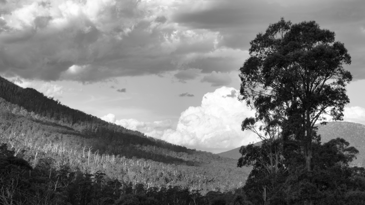 Kosciuszko National Park NSW AU Photos 1461