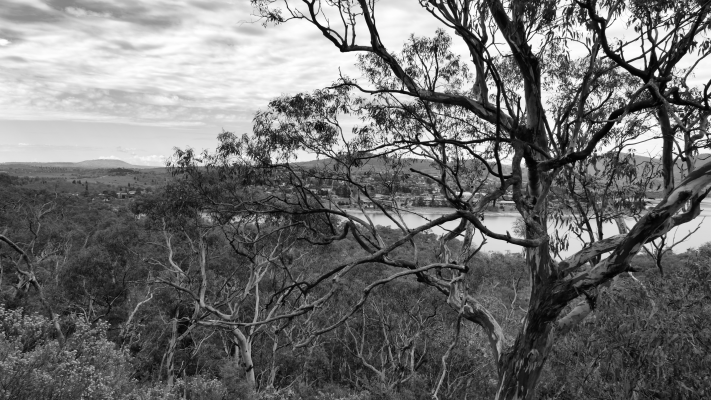 Kosciuszko National Park NSW AU Photos 1535
