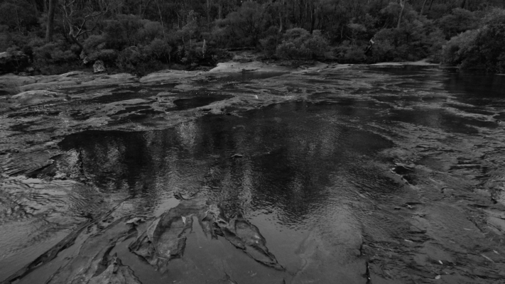 Budderoo National Park NSW AU Photos 1088