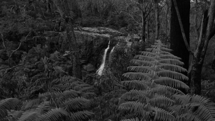 Budderoo National Park NSW AU Photos 1188