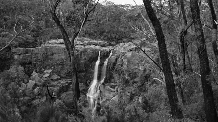 Budderoo National Park NSW AU Photos 1204