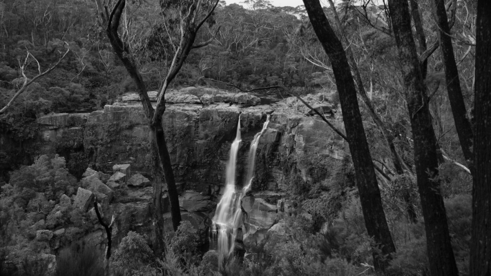 Budderoo National Park NSW AU Photos 1212