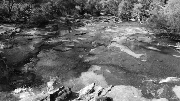 Budderoo National Park NSW AU Photos 1280