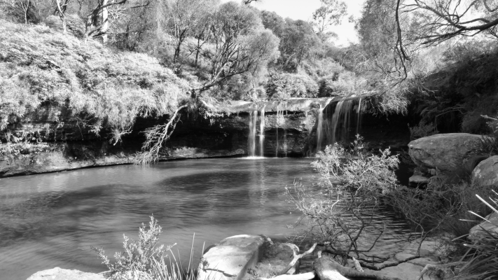 Budderoo National Park NSW AU Photos 1384