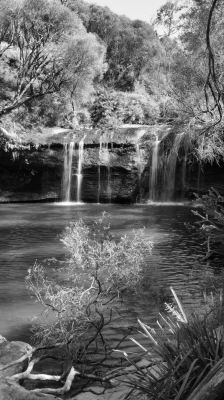 Budderoo National Park NSW AU Photos 1392