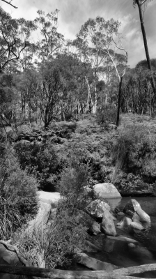 Budderoo National Park NSW AU Photos 1396