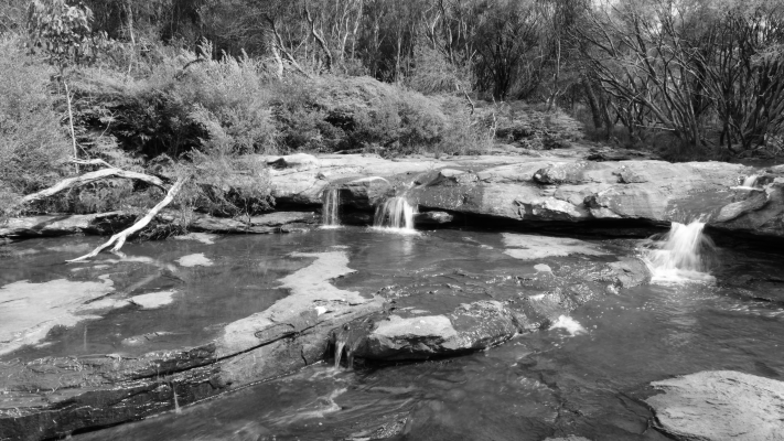 Budderoo National Park NSW AU Photos 1444