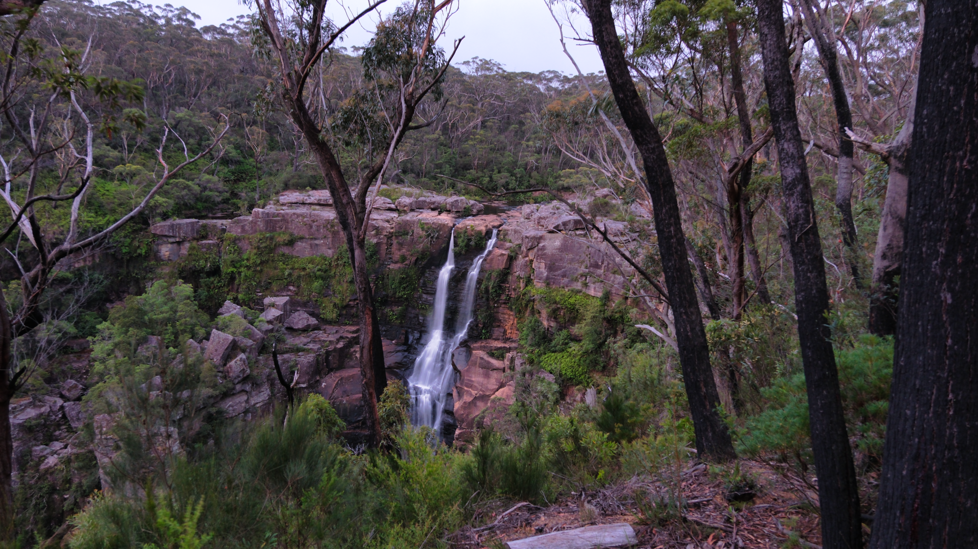 Budderoo_National_Park_NSW_AU_Photos_1197.png