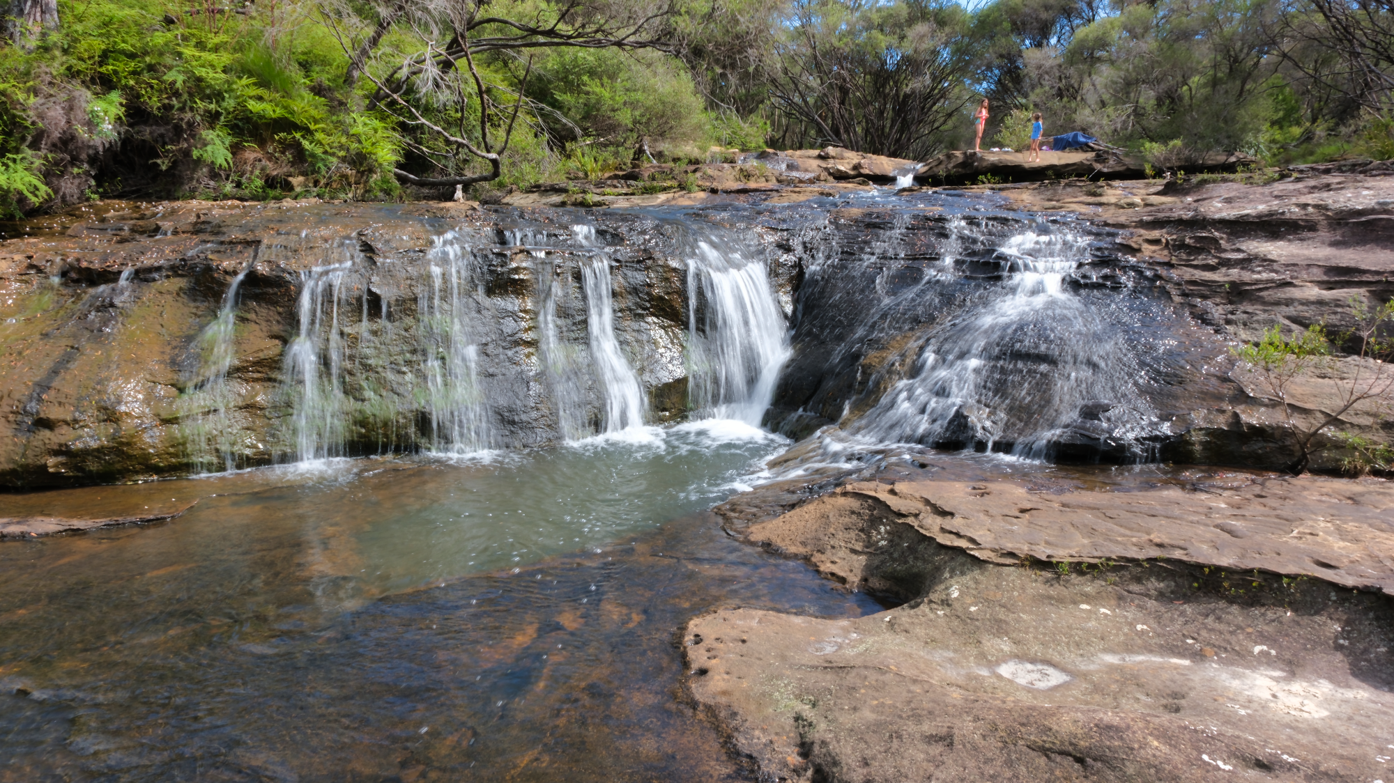Budderoo_National_Park_NSW_AU_Photos_1431.png