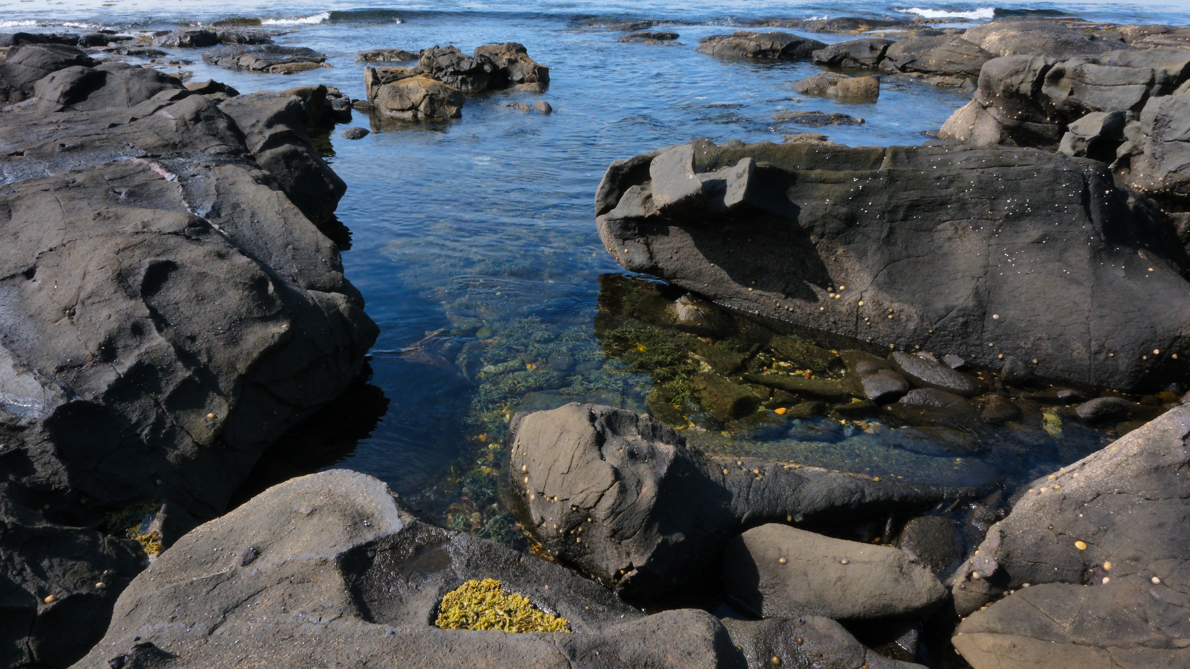 Broulee_Bay_NSW_AU_Photos_1042.png