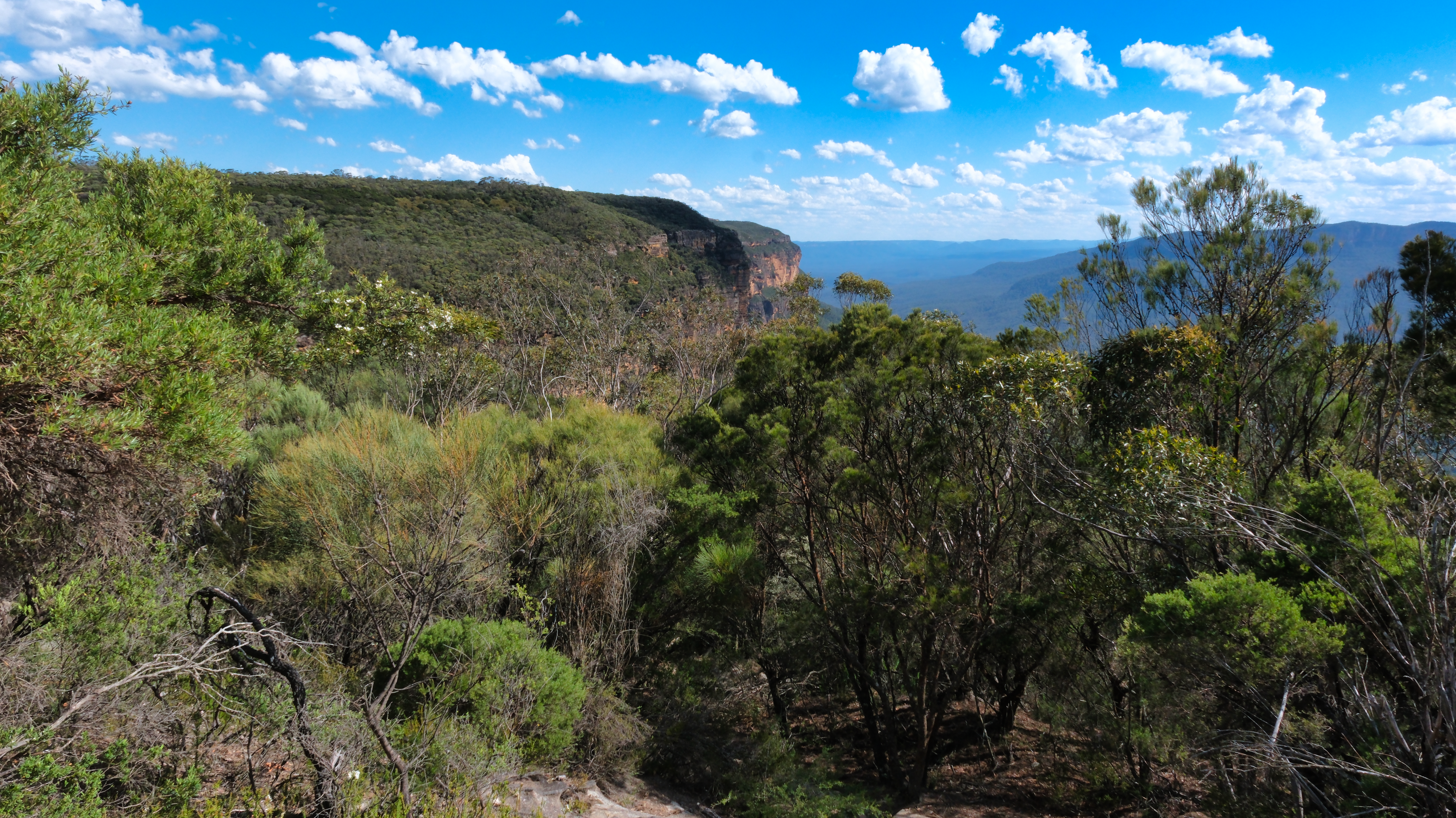 Blue_Mountains_NSW_AU_Photos_1134.png