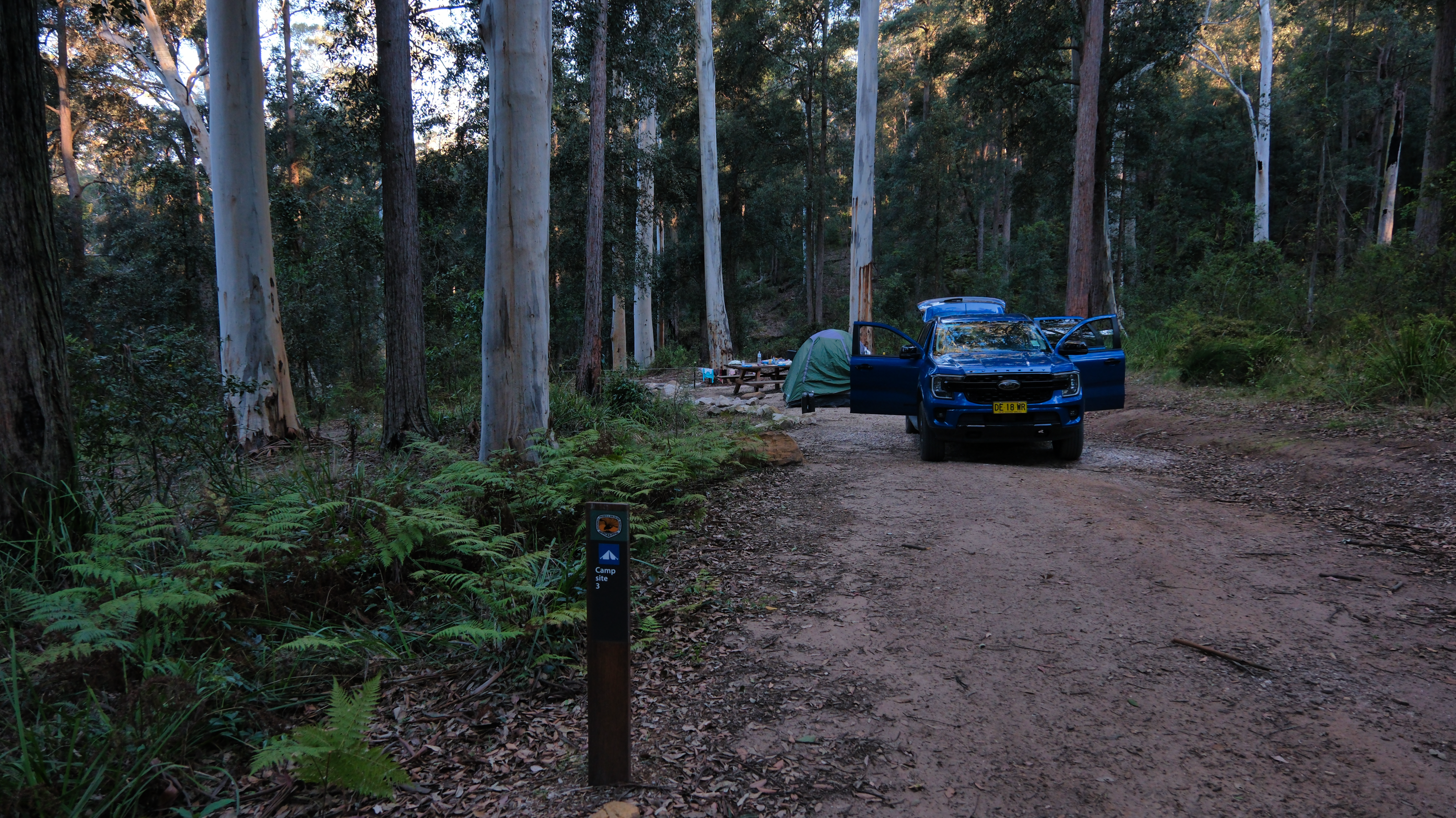 Blue_Mountains_NSW_AU_Photos_1170.png