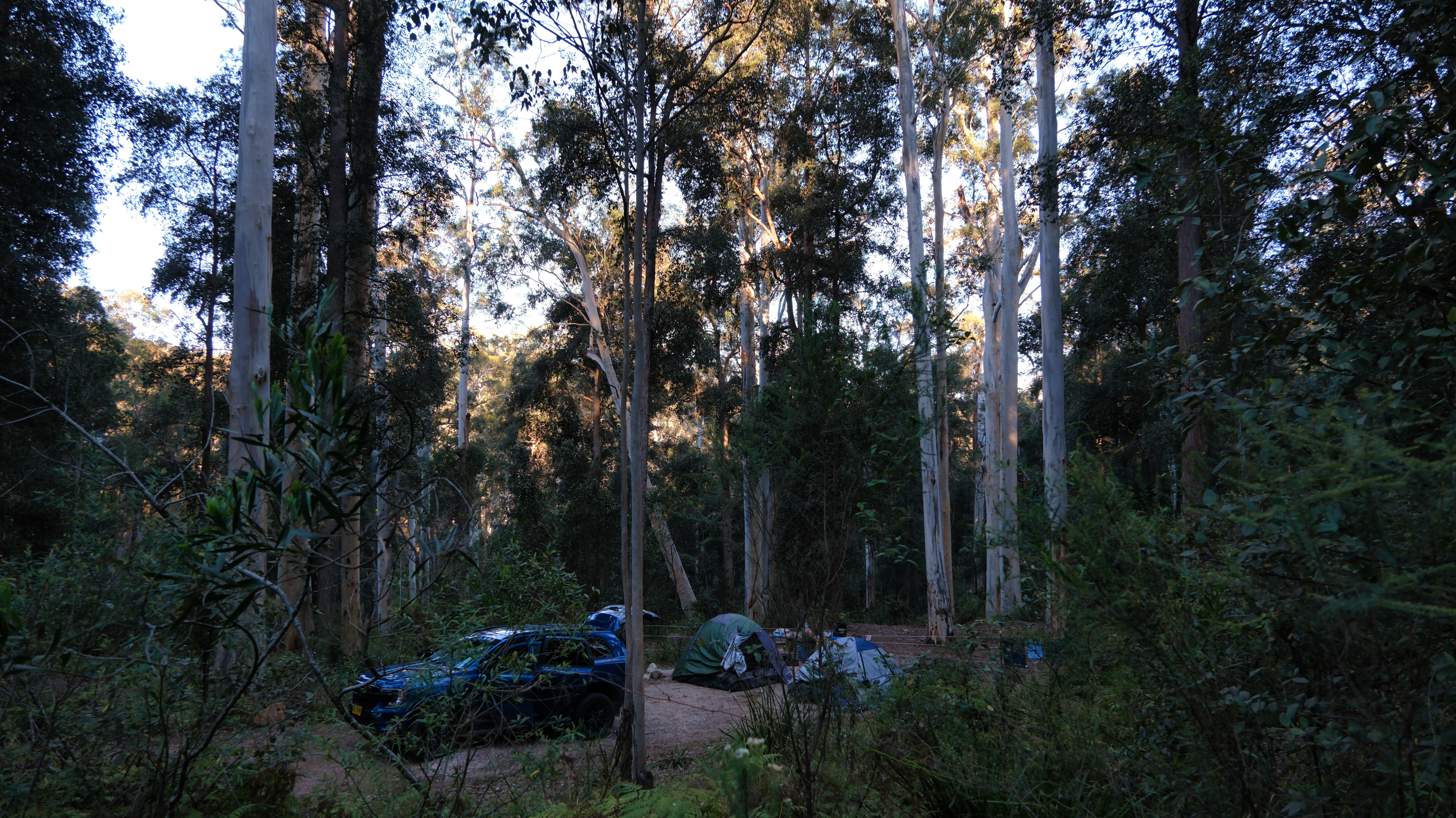 Blue_Mountains_NSW_AU_Photos_1179.png
